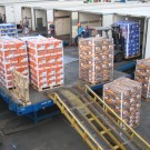 loading pallets in trucks
